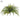 Allstate UV Leather Fern Bush 27" x 18" - Artificial Non-Flowering Plants Silk