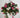 Evergreen Home and Floral UV Petunia Pink/ White Hanging Basket - Uncategorized