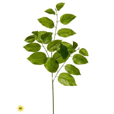 Regency UV Salal Leaf Spray 31" - Artificial Non-Flowering Plants Silk