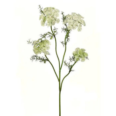 Wild Dill Spray White 33" - Evergreen Home and Floral