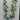Golden Bell Wisteria Garland Blue 6' - Garlands Silk