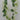 Golden Bell Wisteria Garland Cream 6' - Uncategorized Silk