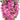 GSC Wisteria Hanging Bush Light Pink (Orchid) - Artificial Flowering Plants Silk