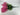 GSC Wisteria Hanging Bush Light Pink (Orchid) - Artificial Flowering Plants Silk