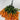 GSC Wisteria Hanging Bush Pumpkin - Artificial Flowering Plants Silk