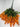 Wisteria Hanging Bush Pumpkin - Evergreen Home and Floral