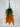Wisteria Hanging Bush Pumpkin - Evergreen Home and Floral