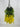 GSC Wisteria Hanging Bush Yellow - Artificial Flowering Plants Silk