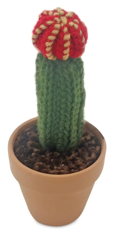 Melrose Wool Cactus in Clay Pot (2 Asst) - Artificial Non-Flowering Plants Merchandise