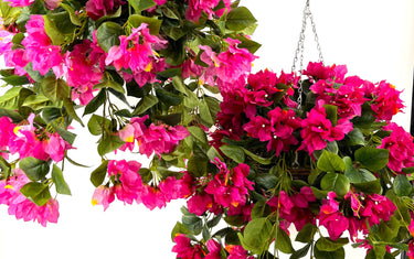 Elevate Your Home Decor with Evergreen's UV Protected Silk Floral Hanging Baskets - Evergreen Home and Floral