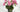 Everlasting Love: The Timeless Charm of Silk Florals for Mother's Day - Evergreen Home and Floral
