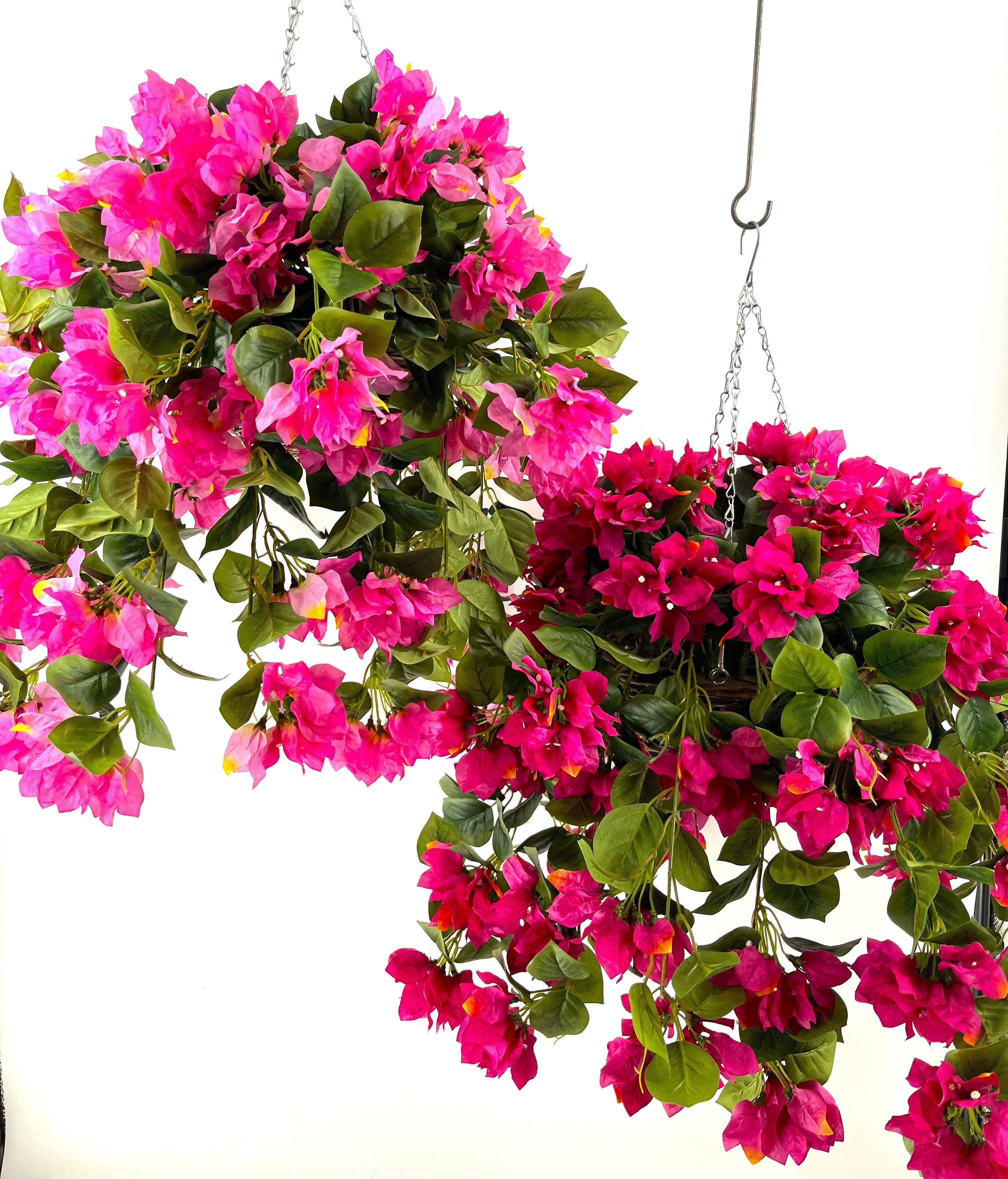 Hanging Baskets | Evergreen Home & Floral  Evergreen Home and Floral