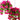 Evergreen Home & Floral Hanging Baskets collection for seasonal home dÃ©cor and styling