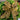 Evergreen Home & Floral Bow Service Fees collection for seasonal home dÃ©cor and styling