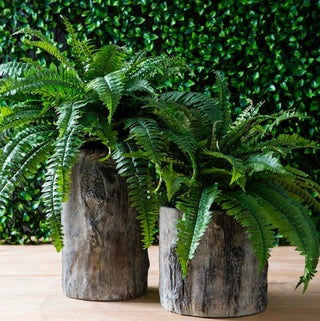 Sun Protected Silks - Evergreen Home and Floral