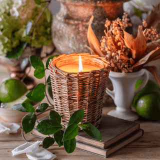 Porch View Candles - Evergreen Home and Floral