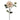 Evergreen Home & Floral Succulents - old collection for seasonal home dÃ©cor and styling