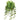 Evergreen Home & Floral Floral Stems collection for seasonal home dÃ©cor and styling