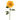 Dahlia - Evergreen Home and Floral