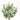 Evergreen Home & Floral Daisy collection for seasonal home dÃ©cor and styling