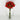 Everyday Floral Bundles and Bouquets 2026 - Evergreen Home and Floral