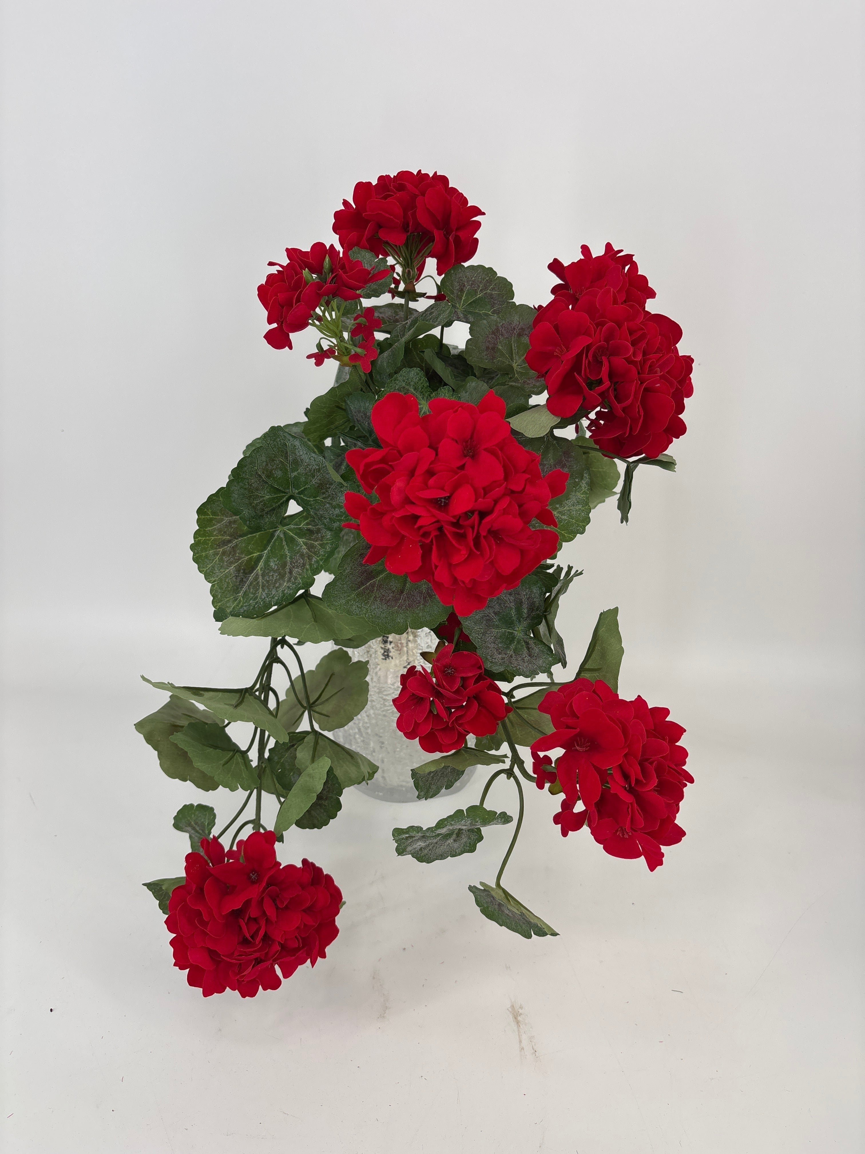 Evergreen Home & Floral Geranium collection for seasonal home dÃ©cor ...