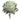 Greenery Picks 2026 - Evergreen Home and Floral
