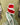 John Mark Ribbon