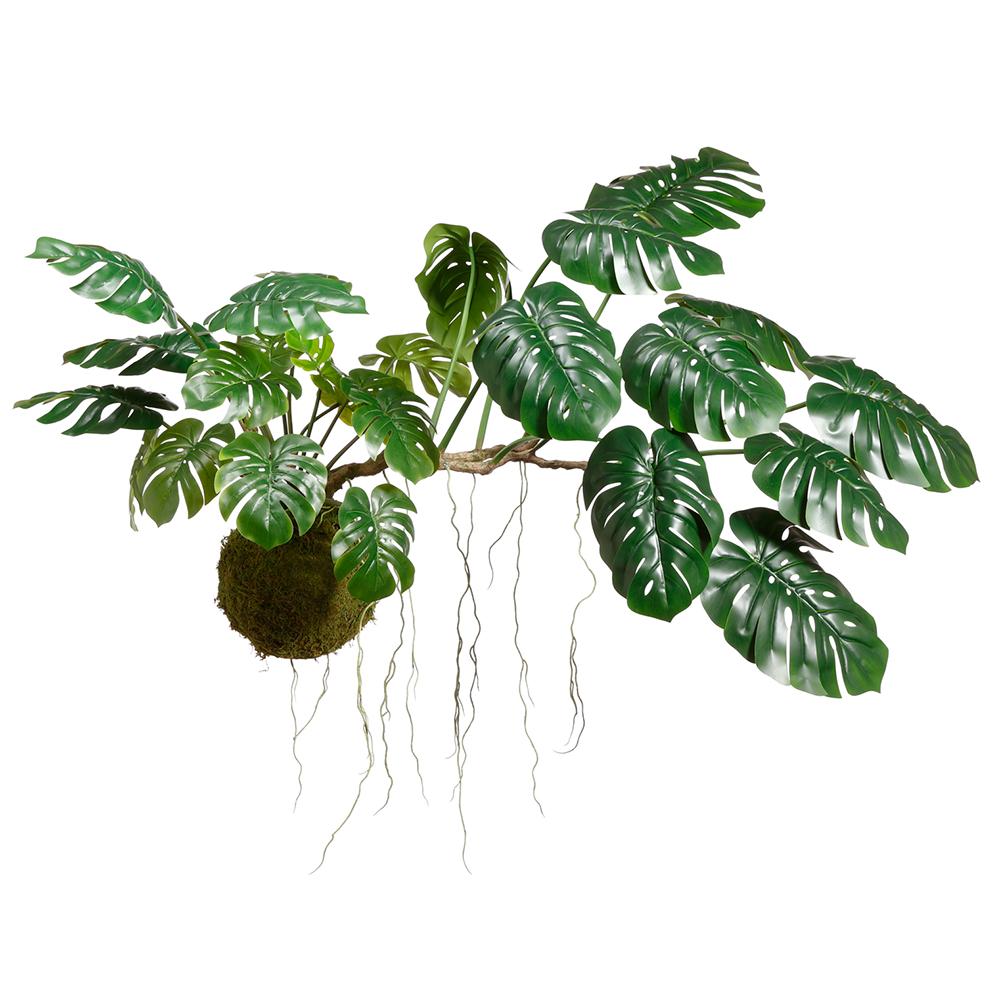 Jungle Jam