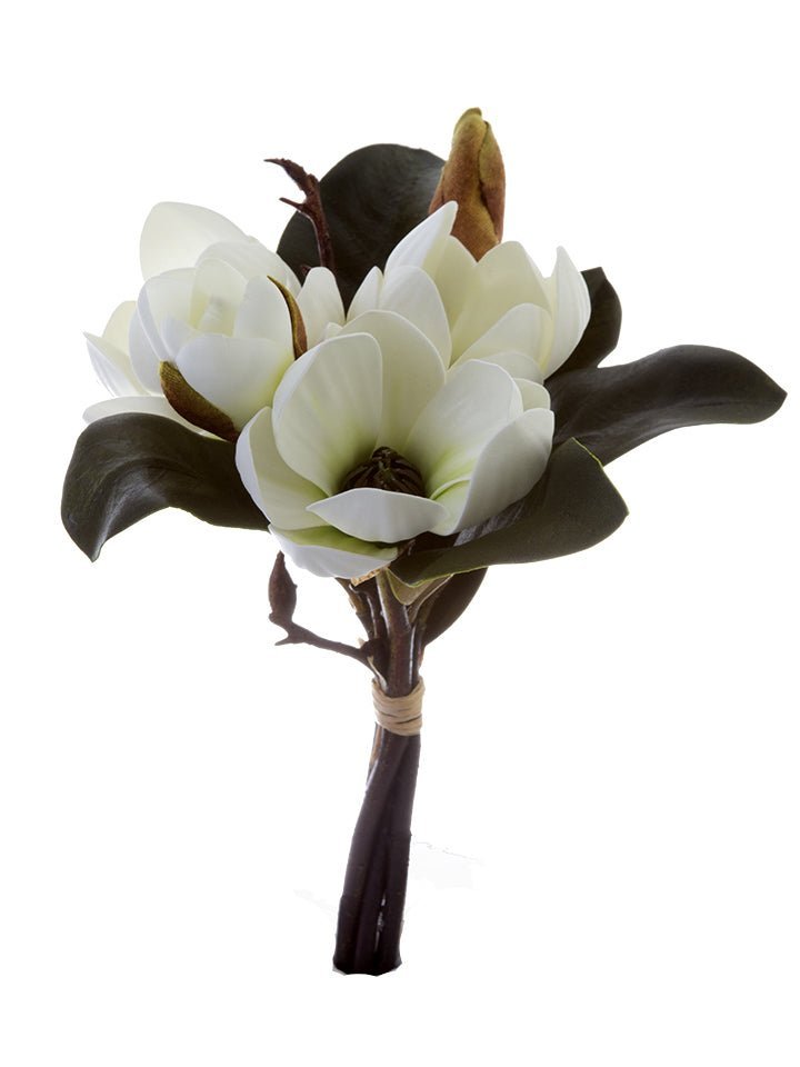 Magnolia