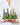 FreshCut Paper LLC Mini Birdhouse Garden Pop-up Greeting Card - Greeting Cards Merchandise