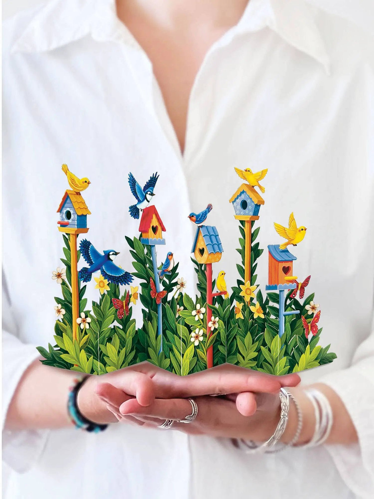 Greeting Cards