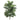 Evergreen Home & Floral Branches and Vines - Old collection for seasonal home dÃ©cor and styling