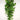 Evergreen Home & Floral Snapdragon collection for seasonal home dÃ©cor and styling