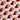 Evergreen Home & Floral Floral Frenzy collection for seasonal home dÃ©cor and styling