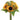Evergreen Home & Floral Potted Plants and Trees collection for seasonal home dÃ©cor and styling