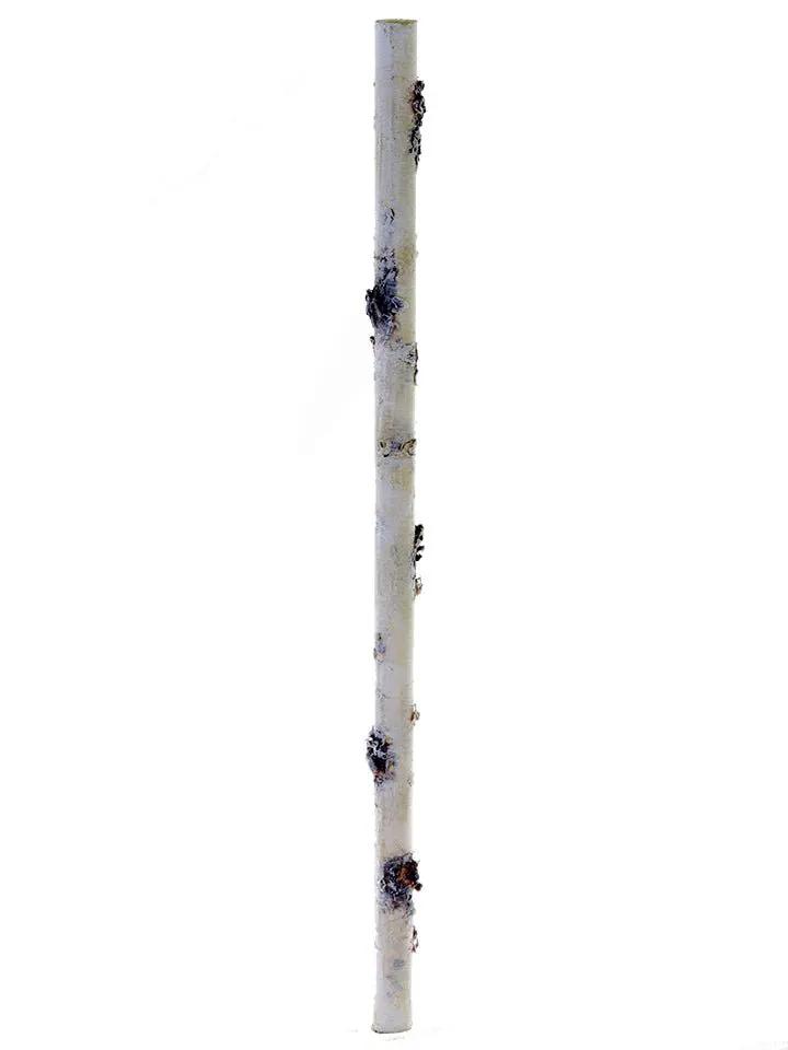 Birch