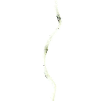 AmBest Birch Flex Stick White/Brown 72" - Artificial Non-Flowering Plants Silk