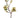 Magnolia Tree Spray Gold Silk 34-inch by AmBest featuring cream blossoms on a brown branch