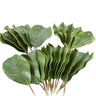 AmBest Magnolia Leaves (x30) Green 8" - Uncategorized Silk