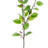 Holly Berry Silk Spray, red berries on a 31-inch stem, AmBest