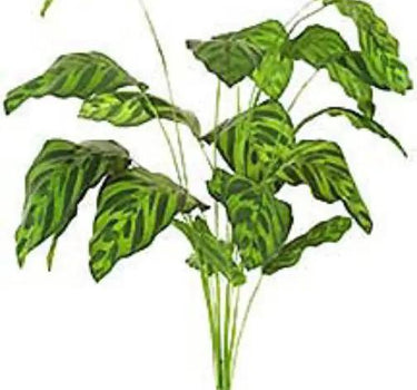 AmBest Peacock Plant 30" - Silk