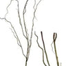 AmBest Curly Willow Branch Brown-Green 48" - Uncategorized Silk