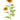 AmBest Sunflower Spray Yellow Orange 42" - Uncategorized Silk