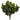 AmBest Silver Dollar Eucalyptus Bundle (x12) 17" - Uncategorized Silk