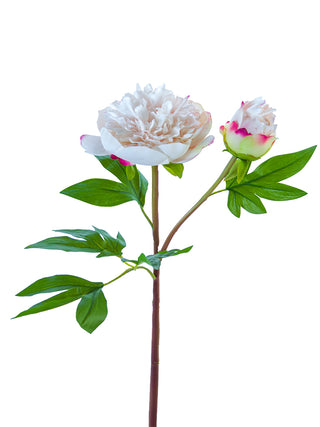 Ruffled Peony Blush 26"