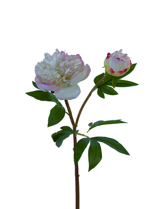 Fresh Touch Ruffled Peony Spray White Lavender 26"