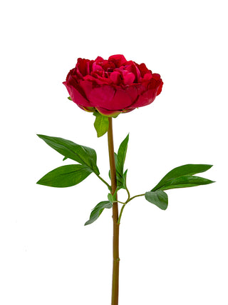 Peony Stem Burgundy 26"