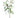AmBest Eucalyptus Spray Light Green " - Uncategorized Silk