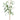 AmBest Eucalyptus Spray Light Green " - Uncategorized Silk